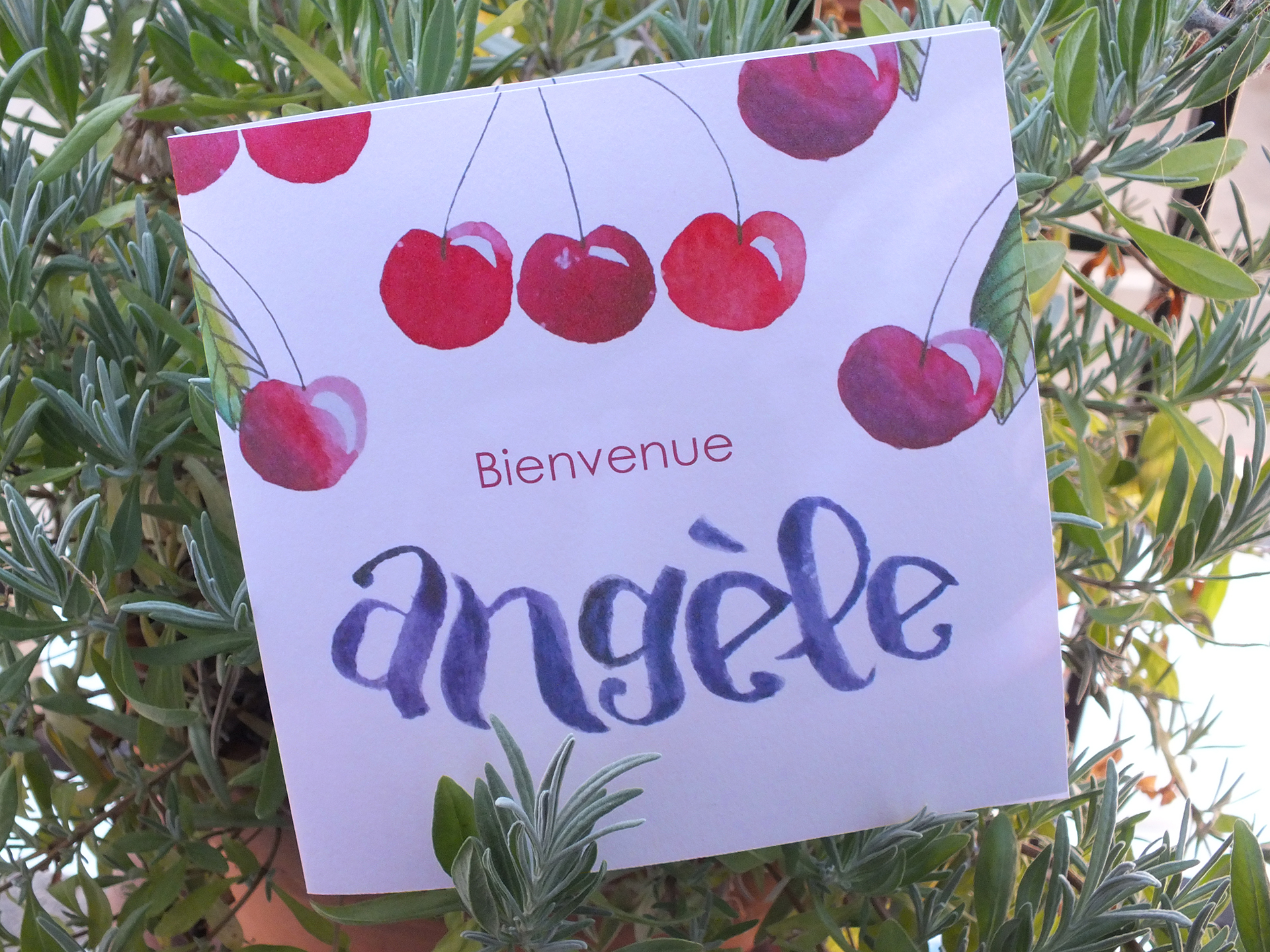 FP_angele ext lavande